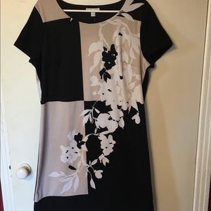 New York and Company  Item #067